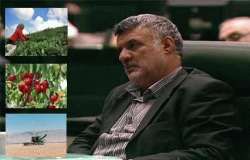 Agriculture Jihad Minister: Food security a major strategy of Iran 