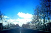 تصویر قدیمی و زیبا از خیابان ولی عصر