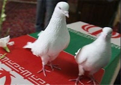 هویت پیکر مطهر امرالله فیضی شهید تازه تفحص شده شناسایی شد