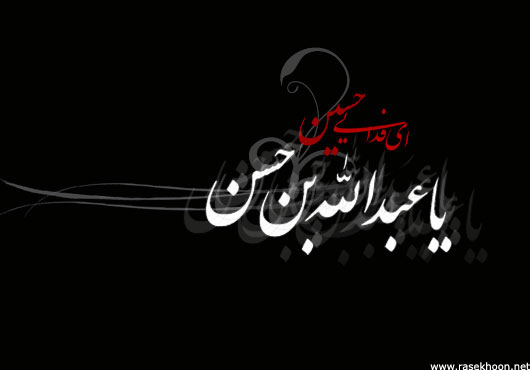 گرچه ابن الحسنم پُر شدم از ثارالله/ بنویسید مرا یابن ابی عبدالله