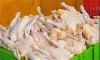 قیمت مرغ در زمستان افزایش نمی‌یابد/ پسته به اندازه کافی ذخیره شده است