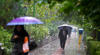 بارش در تهران ادامه دارد/ کاهش ۳ تا ۵ درجه‌ای دمای هوا در پایتخت