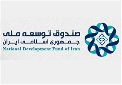 مدیر مالی صندوق توسعه ملی منصوب شد
