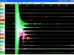 Tremor shakes southern Iran 