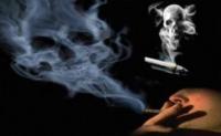 مرگ 11 هزار سیگاری در سال 