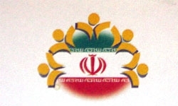 ۴ نماینده استان تهران در شورای عالی استان‌ها انتخاب شدند