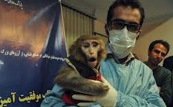 "فرگام" سالم به ایران بازگشت + جزئیاتی از نحوه پرتاب و بازگشت دومین میمون فضانورد از فضا