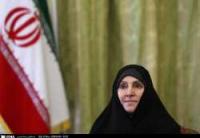 FM spokeswoman: Levinson not in Iran 