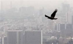 اجرای مجدد طرح زوج و فرد خودروها از درِ منزل با افزایش غلظت آلاینده‌ها