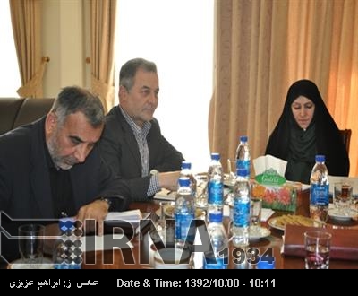 Tehran determined to solve problems of Iranians living abroad: Afkham 