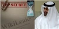 Wikileaks: Abu Dhabi Crown’s Challenging Remarks on Saudi 