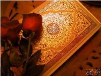 تنها عضو بدن که هرگز خسته نمى‌شود 
