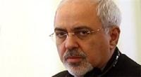 ظریف: نشست ایران و ۱+۵ اواخر بهمن/ وزیر خارجه سوئد مسافر تهران
