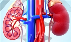 یک جراح، متخصص کلیه و فوق تخصص لاپاروسکوپی هشدار داد
