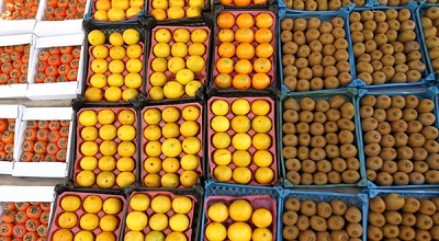 میوههایی با کیفیت متوسط و کمی ارزانتر از مغازه/ قدرت خرید پایین؛ دلیل استقبال مردم/ قیمت میوههای شب عید