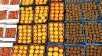 میوه‌هایی با کیفیت متوسط و کمی ارزان‌تر از مغازه/ قدرت خرید پایین؛ دلیل استقبال مردم/ قیمت میوه‌های شب عید