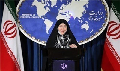 افخم: پارلمان اروپا نمی‌تواند برای ایران تعیین تکلیف کند