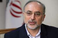 Salehi: Iranˈs scientific reply on Arak in talks astonished the West 
