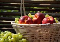  تشریح تغذیه بیماران قلبی تا رژیم مدیترانه‌ایی