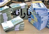 چند درصد از مردم از یارانه انصراف دادند ؟