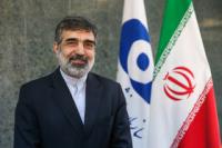 تایید حضور رئیس بازرسان آژانس به تهران