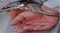 شخص دستگیر شده توسط پلیس بین‌الملل فردی به شهرت "س" بوده است