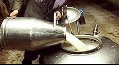  آمار تکان‌دهنده مرگ‌ومیر به دلیل عدم مصرف شیر