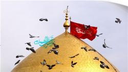  راهنمایی امام زمان (عج) درباره توسل به حضرت ابوالفضل (ع)