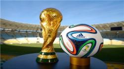 پیش‌بینی نتایج جام جهانی این بار توسط یک لاک پشت!
