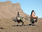 Tribal women produce 35% of handicrafts 