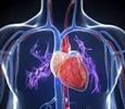 Cardiac cell therapy; 95 per cent success 