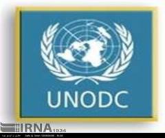 Global drug use prevalence stable, UNODC report 