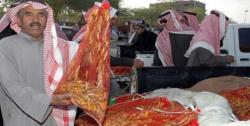 مصرف ملخ در عربستان! + عکس