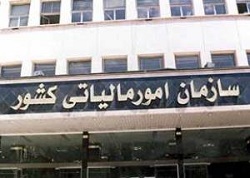 شگرد جدید کلاهبرداران مالیاتی