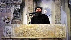 هلاکت پسر عموی البغدادی