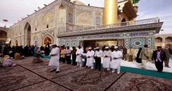 نماز اهل سنت در حرم امیرالمومنین(ع)+عکس