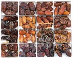 خرمای ایرانی به نام فرانسه!