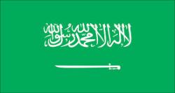 عربستان: داعش را نفرین کنید! 