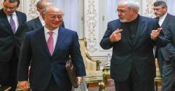 دیدار ظریف با مدیر آژانس بین‌المللی انرژی
