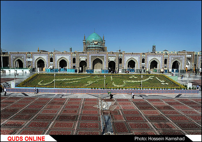 فرش گل میلاد امام رضا(ع)+عکس