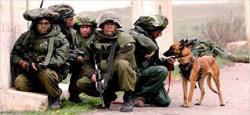 5 هزار تبعه غربی در ارتش اسرائیل مزدوری می کنند