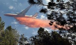  آتش‌سوزی در جنگل‌های کالیفرنیا +تصاویر