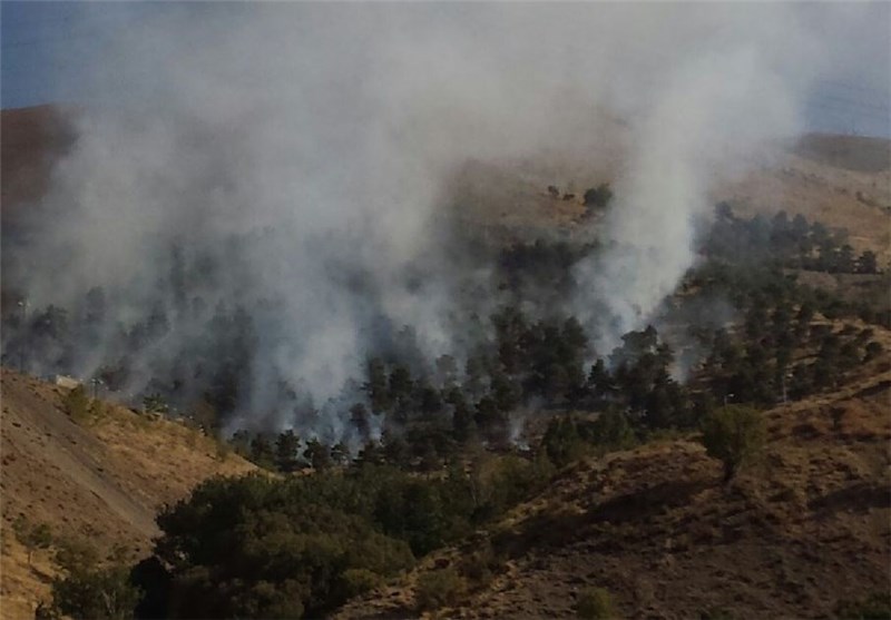 مهار آتش‌ در جنگل‌‌های شمال شرق تهران