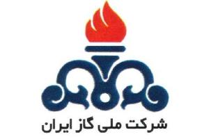سال آینده قطعی گاز در کشور نداریم 
