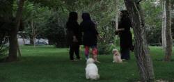 سگ چرانی و ساپورت پوشی در تهران+عکس