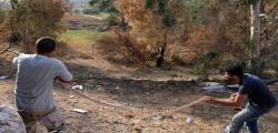کشته و زخمی شدن 81 نفر در لیبی