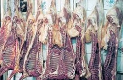 گوشت گوسفند کیلویی چند؟ 