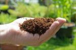Iranian scientist develops Nano-organic Fertilizer  