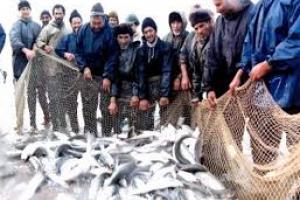 گرفتار شدن صیادان در تور مشکلات بیمه‌ای