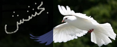 بخشش دیه به شرط ادای نماز و روزه قضا 